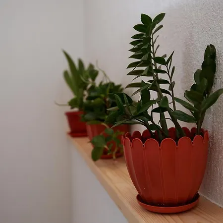 Stanchevata Kashta Guest house Zlatograd