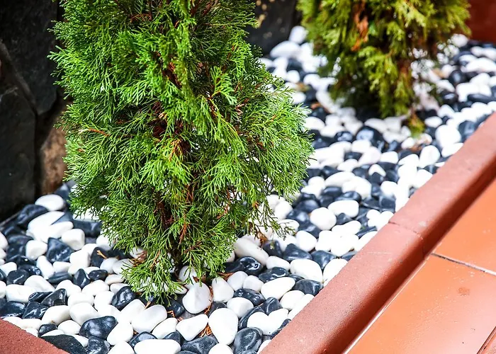 Stanchevata Kashta 3*