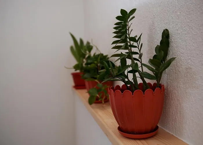 Stanchevata Kashta Pensjonat Złatograd